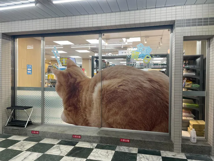 圖片來源：網友