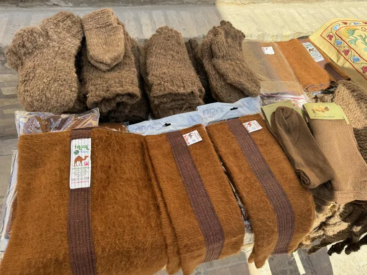 駱駝毛製成的圍巾、手套,聽說很保暖