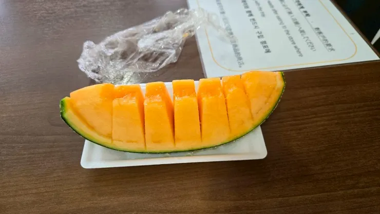 鮮甜多汁的哈密瓜切片