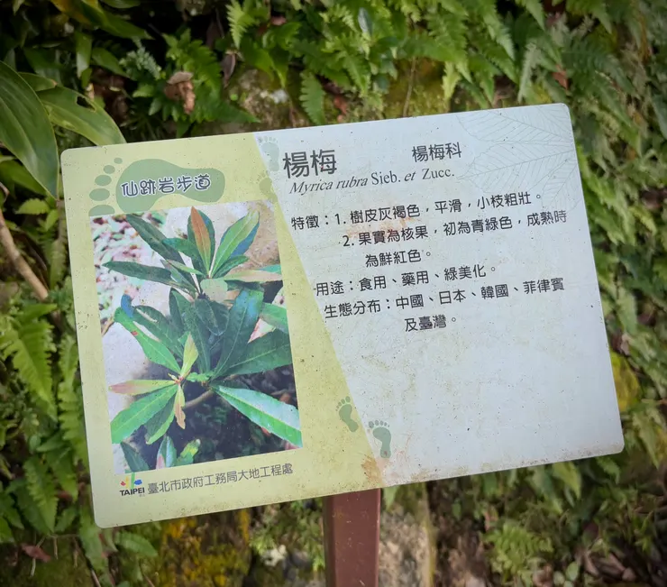 步道設有不少生態解說牌，插畫有個腳印，應景「仙跡」