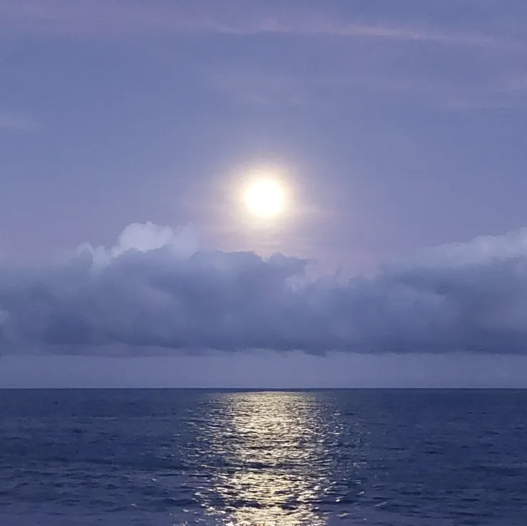 波光粼粼 / 資料來源：我自己