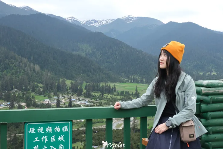 魯朗林海 西藏小瑞士