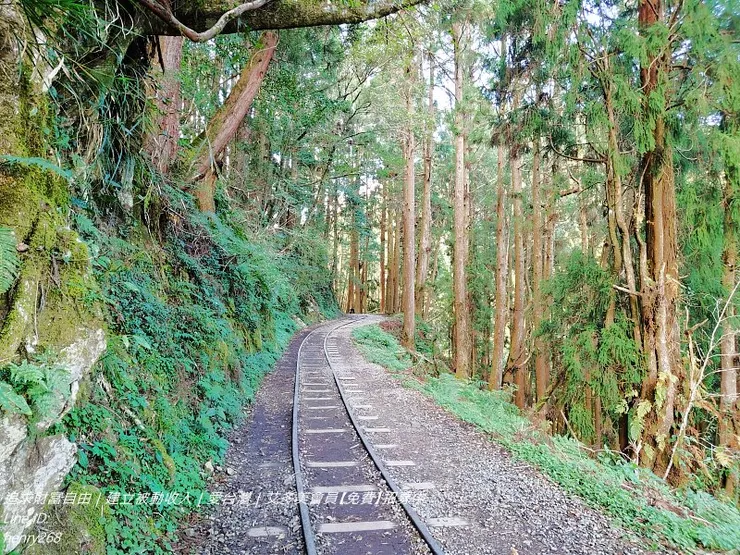 特富野古道 保留舊鐵道遺跡