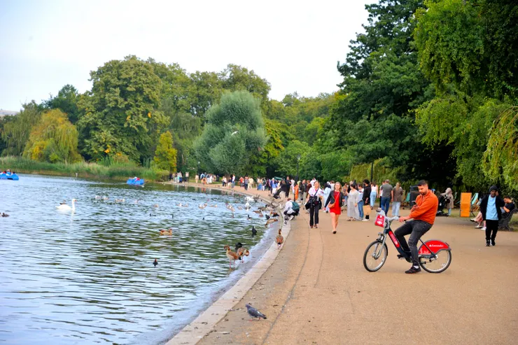 【明知幅員廣大且安於湖邊一角 端詳各色人等與動物和平相處】