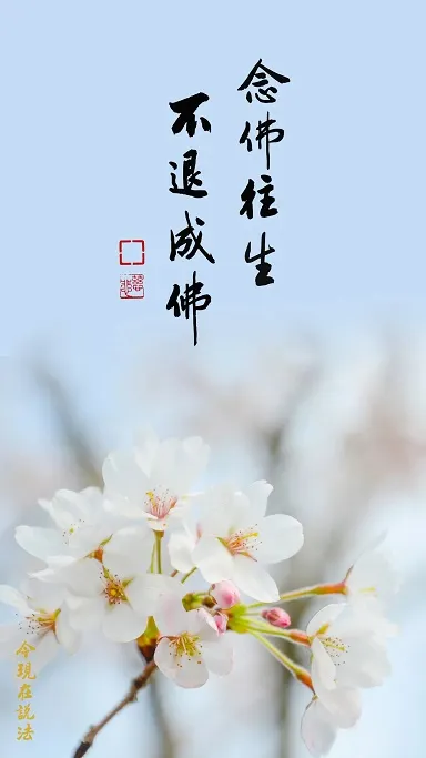 專心持念「阿彌陀佛」萬德洪名，期生淨土。