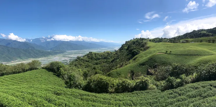 世界很寬廣的,此處不留爺自有留爺處