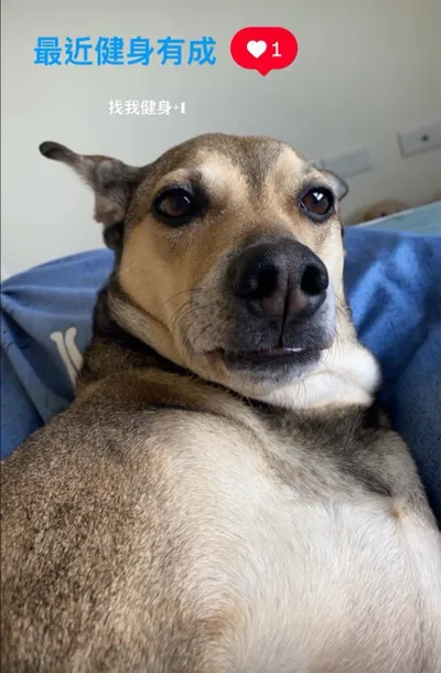 找我健身+1