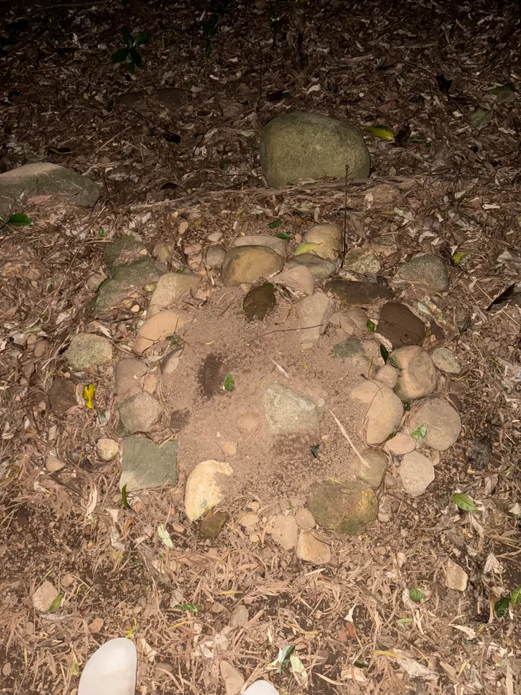 2026/03/12 晚上的圓圓