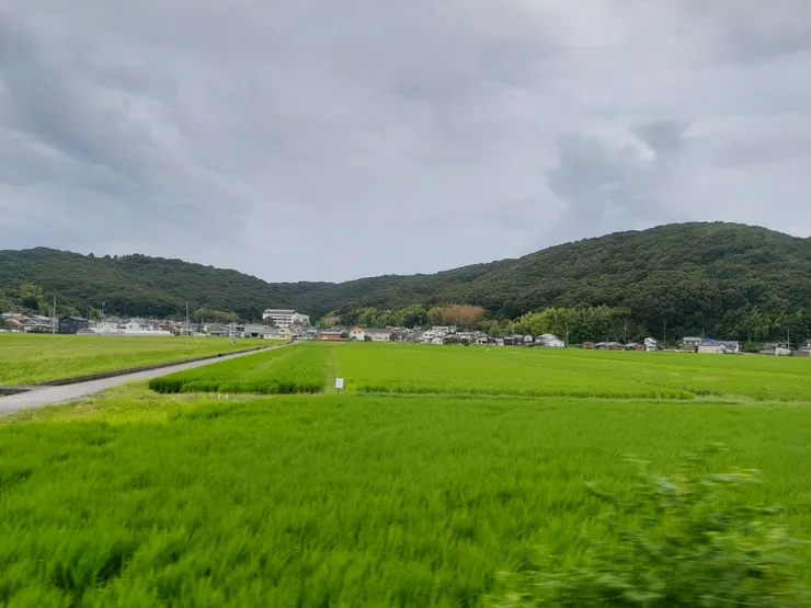 搭車時可以順便觀賞窗外的田園景緻