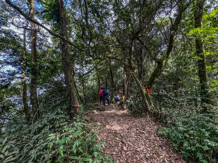 9:08 抵逹九龍山/大凍山叉路口