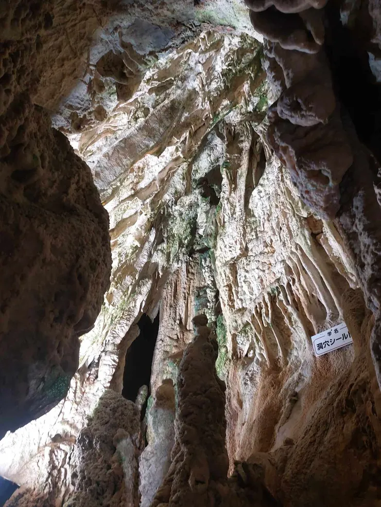 從樓梯漸漸往上爬後光線也越來越透進來，整個景色也越來越壯觀
