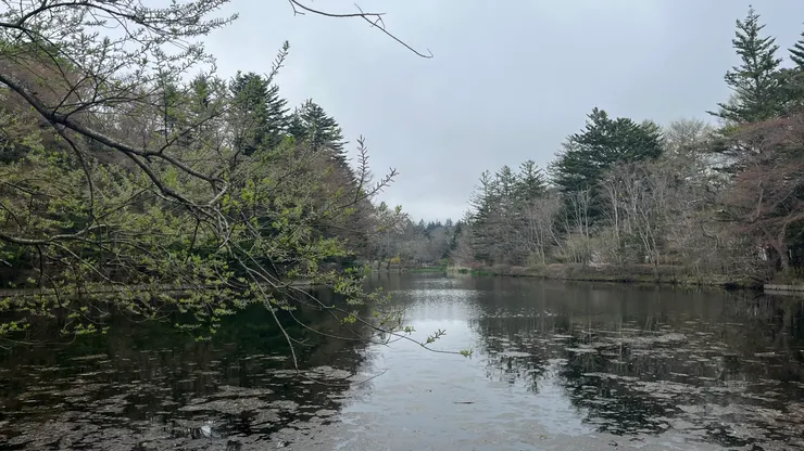 有種唯美感的湖泊。