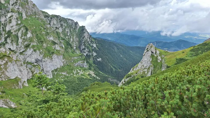 從四個叉路口 Kondracka Pass 拍攝的照片