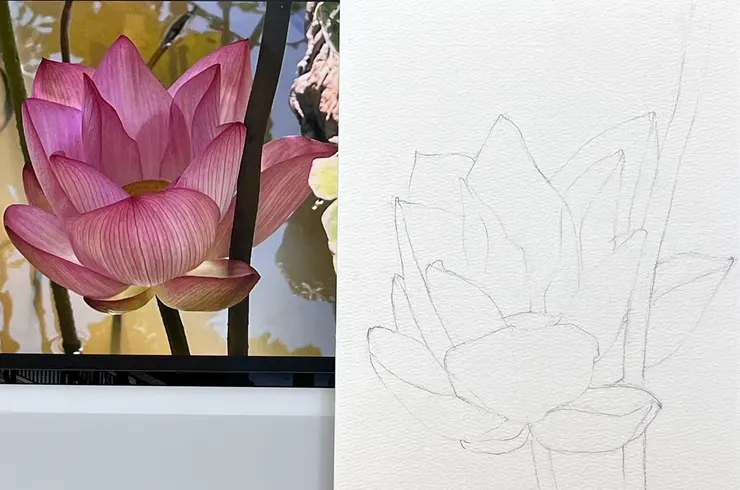 圖/攝影 YHCC@水彩練習, AUG2023, W37夏荷線稿 26x18cm