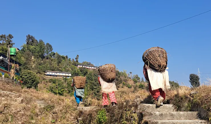 Phedi 小鎮 村婦日常