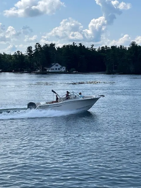 在湖上飛翔的小型快艇。