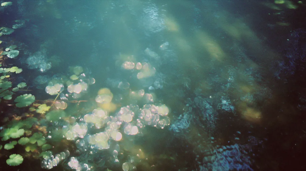 A One, A Two and A Three