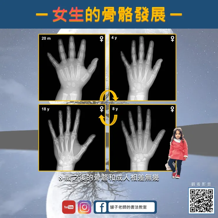 女童的骨骼發展