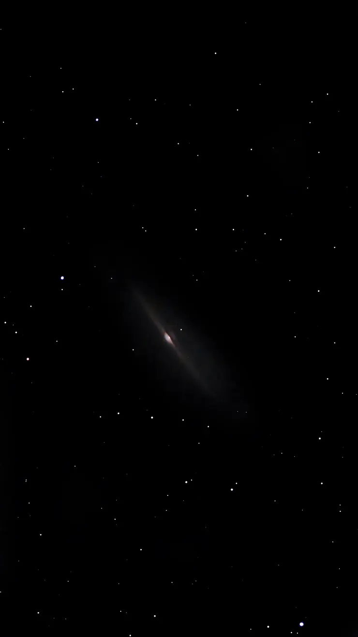 后髮座針狀星系-NGC 4565