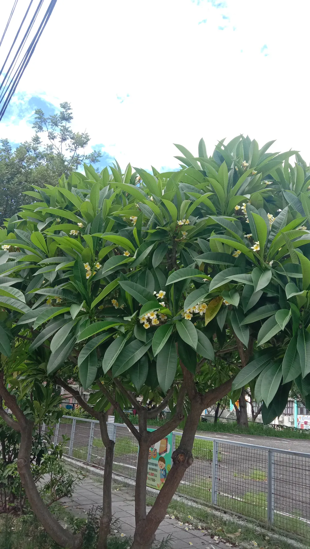 猴子看世界的沙龍