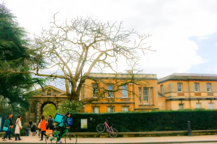 牛津大學植物園(Oxford Botanic Garden)