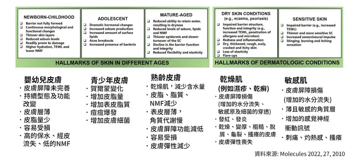 敏感肌怎麼洗臉？