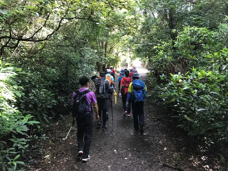  一開始的路很平緩