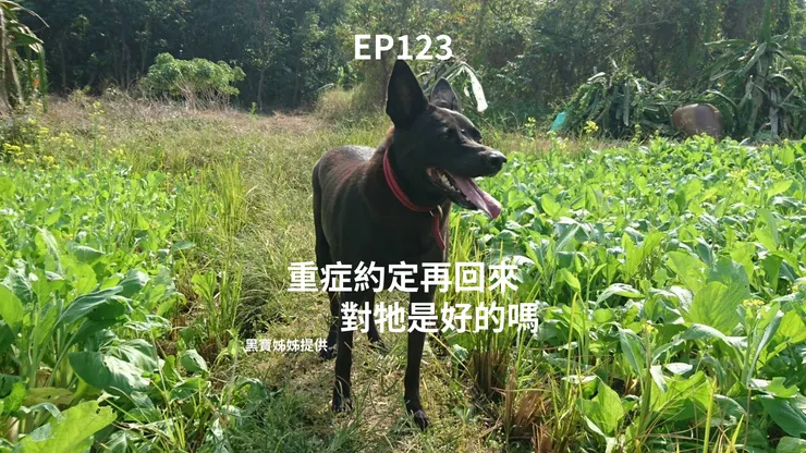 黑寶姊姊提供