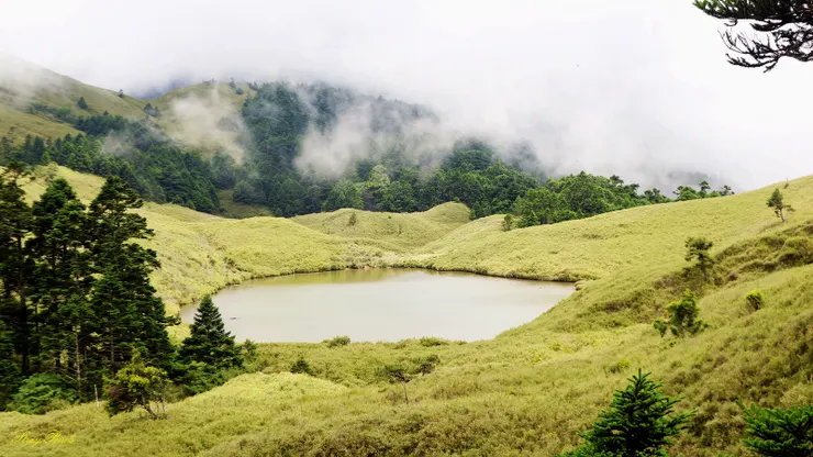 ↑屯鹿池位於安東軍山北方約2公里的鞍部，是一泓靜躺在大草原平坦的天然水塘，由高處望去，彷彿是天上仙女遺忘在後花園綠茵中的明鏡，散發出婉約沉靜的氣質。