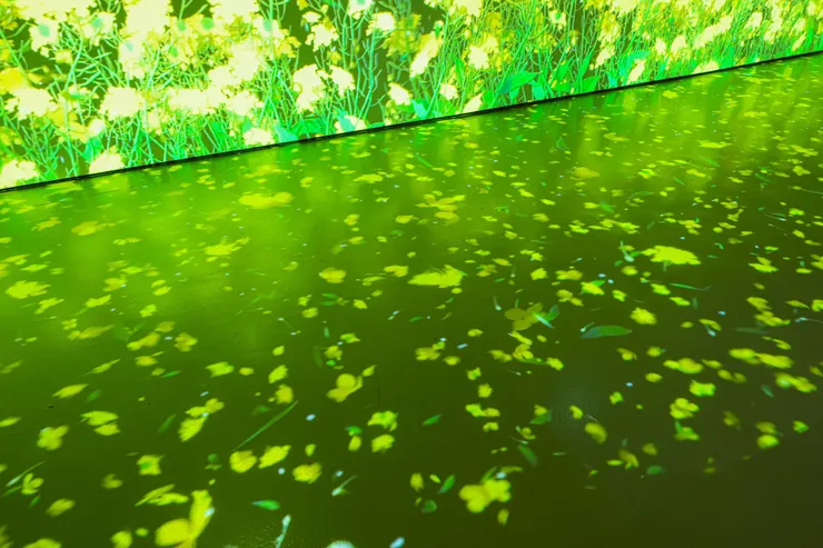 #閒聊 裸辭前❤️我做好5️⃣個準備：人生總該有一次，全然地活出自己🪽 #新鮮事調查局