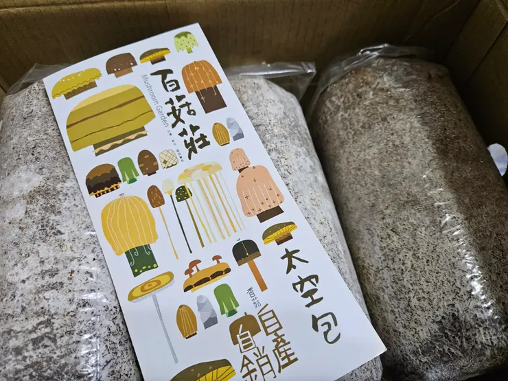 非廣告（類似商品應該蠻多商家有出，大家隨意選擇合眼緣的即可👌🏻）