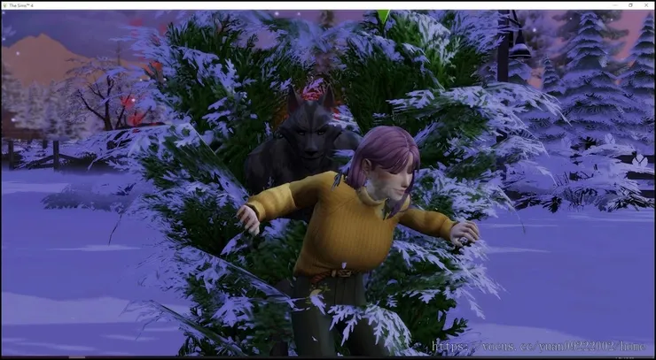 總之,二胎又是跟貴格生了。