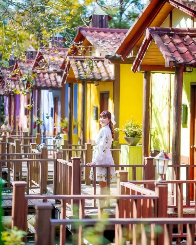 楓樺台一渡假村 埔里住宿 南投渡假村 南投住宿