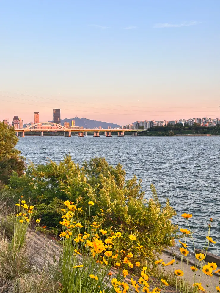 某個傍晚時分，和同學們在漢江邊散步