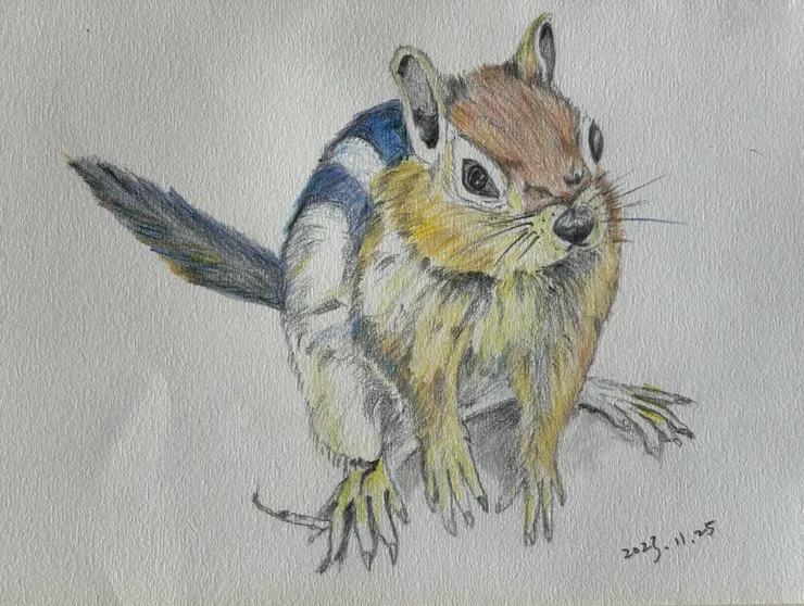 圖 4，花栗鼠  5 月繪