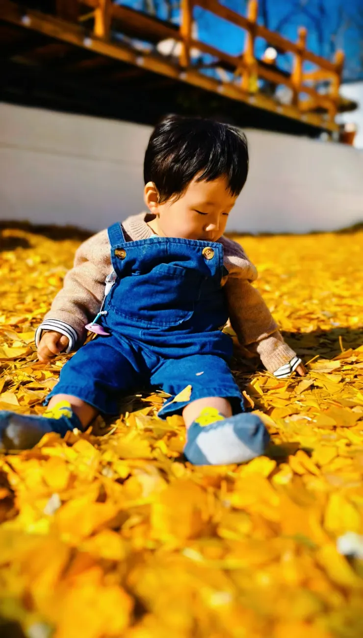 對銀杏很感興趣的小哈利