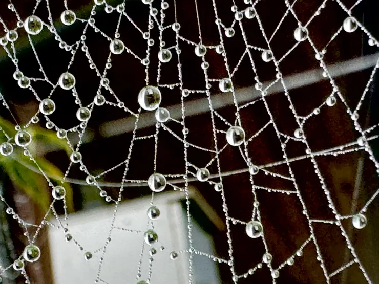 這一張水晶網做「水晶提包」
