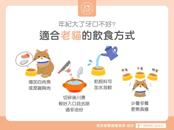 適合老貓的飲食。