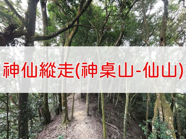 【苗栗】神仙縱走-(神桌山~仙山) | 全長里程：12.5公里 | 難易度：中級