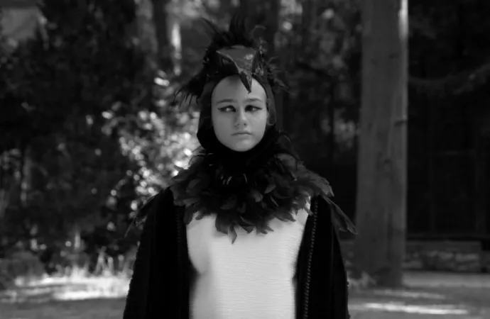 The National Garden, 2016