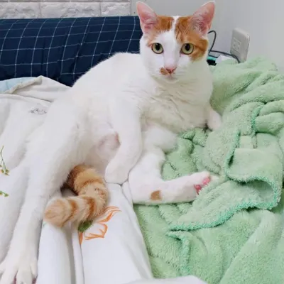 在另一個世界的你，還好嗎？