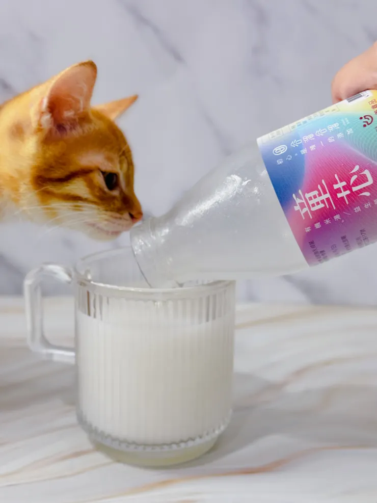 香到連小貓咪都想喝