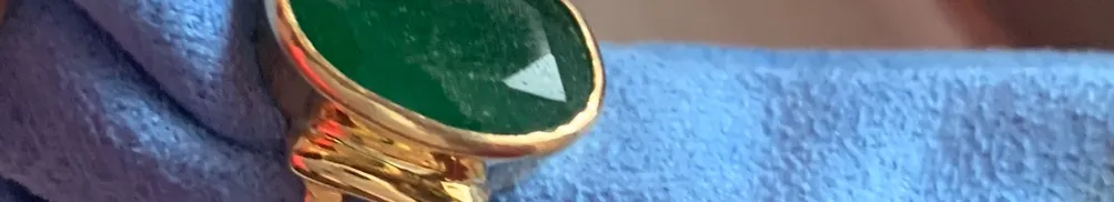 印度安娜 AnnapurnaCook的沙龍