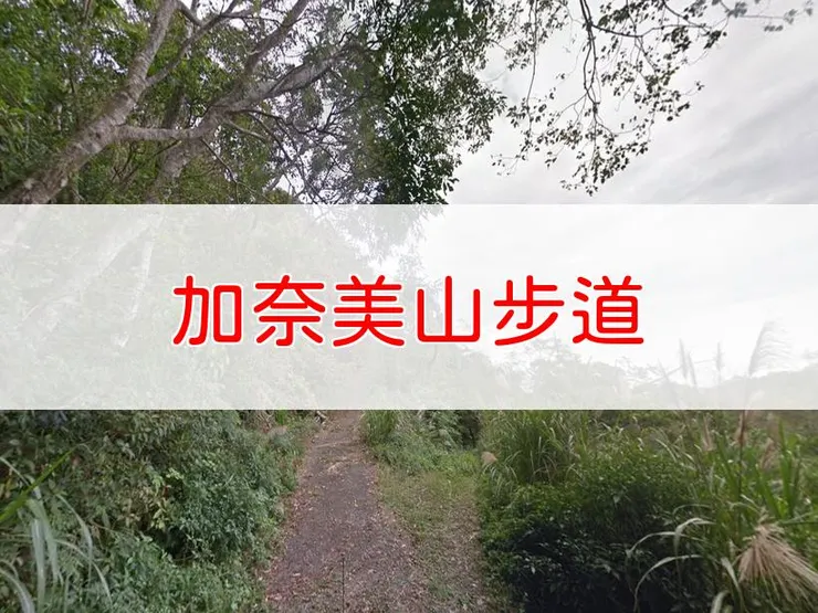 【台東】小百岳-加奈美山步道 | 全長：2.5公里 | 難度：低