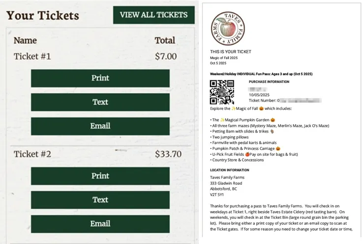 線上購票的票根