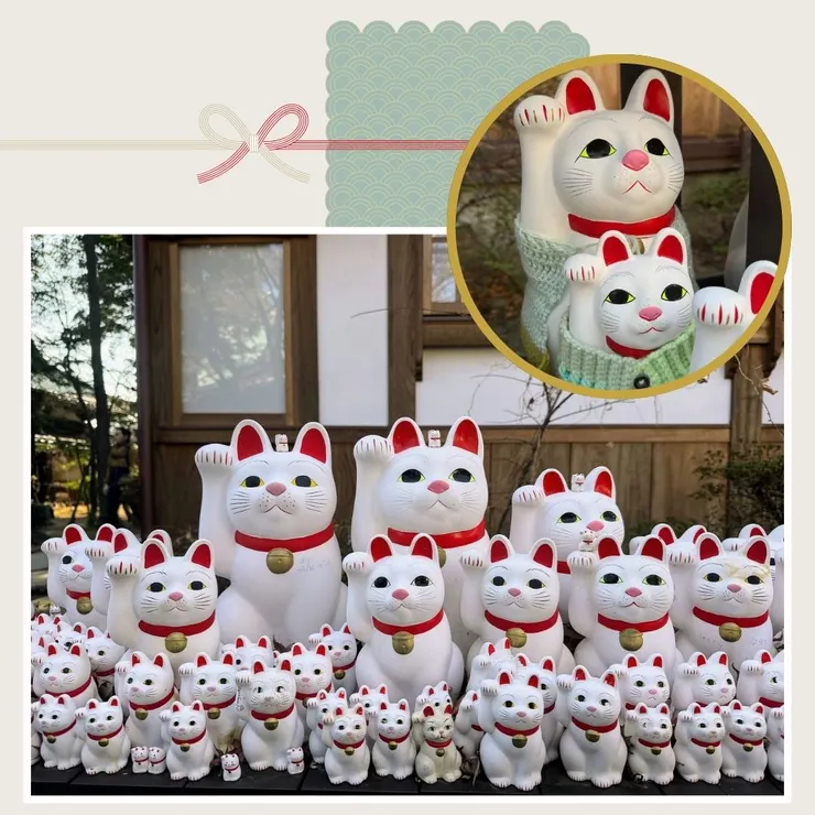 還看到有人幫招財貓披上圍巾，也太可愛吧。