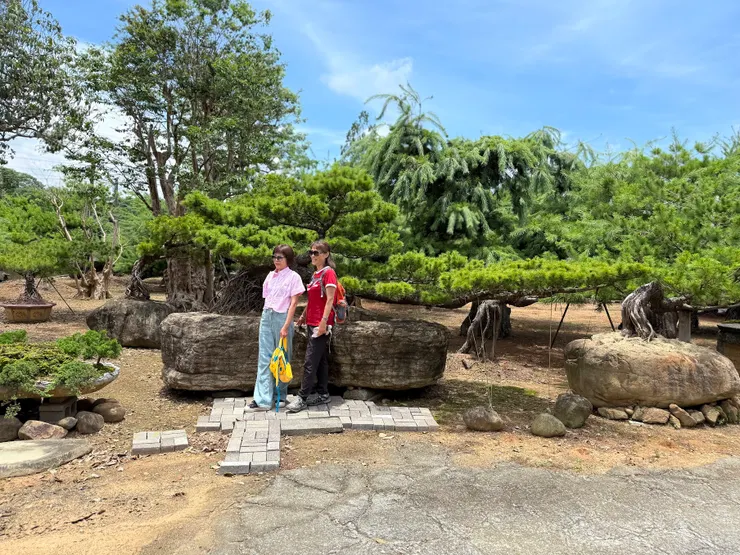 價值連城的「植物」