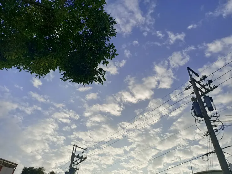 照片由筠朵朵拍的