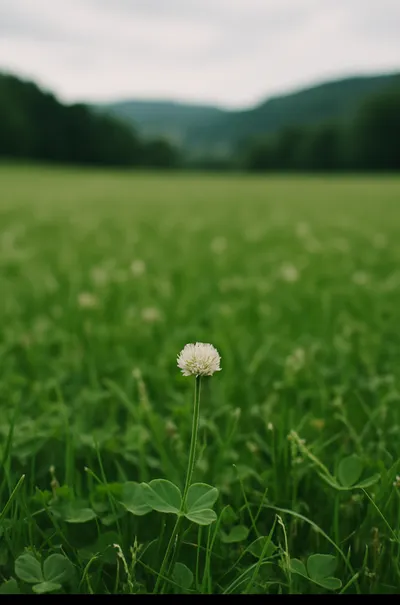 語場崩解，靈魂得以歸位：不是推翻，而是釋放的小草革命
