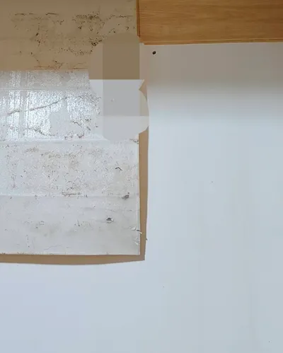 杖啷最可怕型態! 什麼啦?!【黑熊時間】